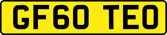 GF60TEO