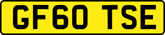 GF60TSE