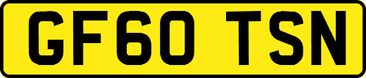 GF60TSN
