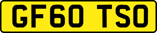 GF60TSO