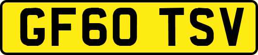 GF60TSV