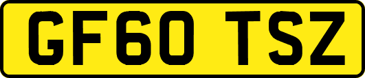 GF60TSZ