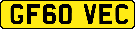 GF60VEC