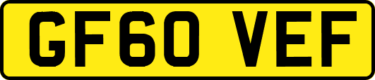 GF60VEF