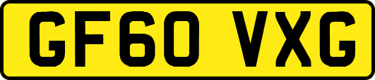 GF60VXG