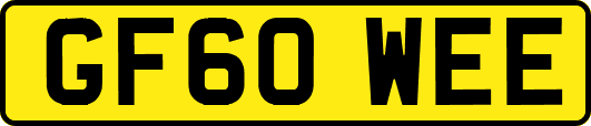 GF60WEE