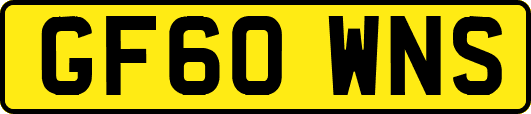 GF60WNS