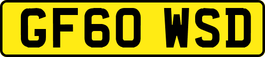 GF60WSD