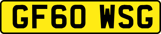 GF60WSG
