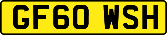 GF60WSH