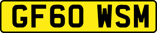 GF60WSM