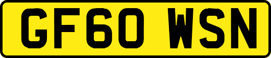 GF60WSN