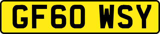 GF60WSY