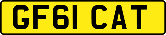 GF61CAT