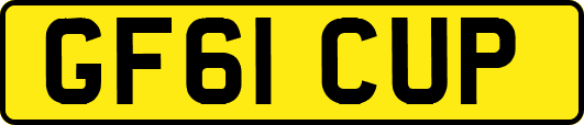 GF61CUP