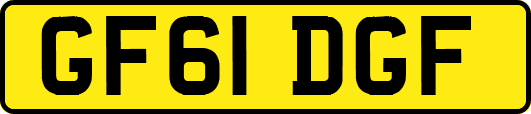 GF61DGF