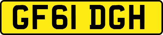 GF61DGH