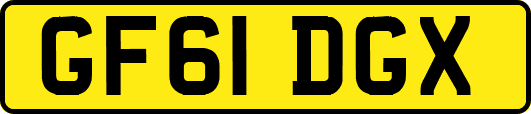 GF61DGX