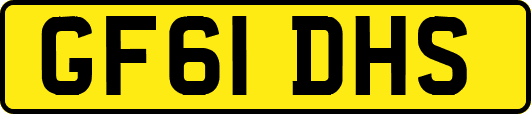 GF61DHS