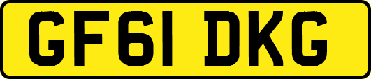 GF61DKG