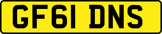 GF61DNS