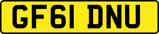 GF61DNU