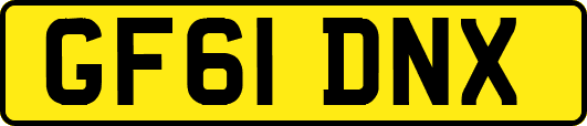 GF61DNX