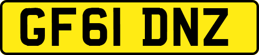 GF61DNZ