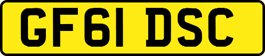 GF61DSC