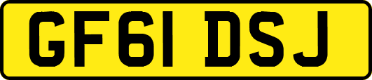 GF61DSJ
