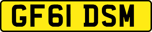GF61DSM