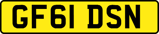 GF61DSN