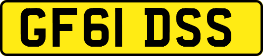 GF61DSS