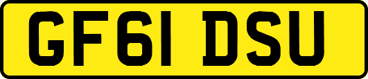 GF61DSU