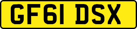 GF61DSX