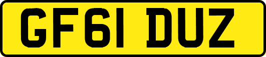 GF61DUZ