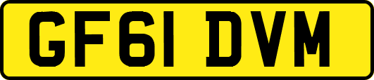 GF61DVM