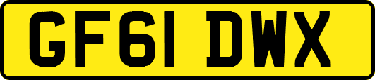 GF61DWX