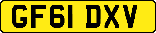 GF61DXV