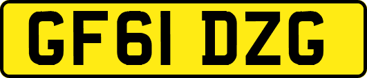 GF61DZG