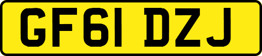 GF61DZJ
