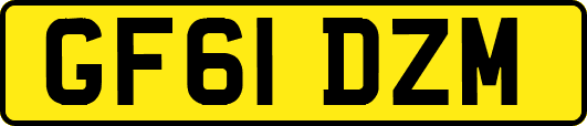 GF61DZM