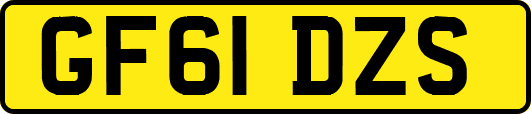 GF61DZS