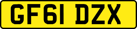 GF61DZX