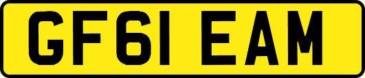 GF61EAM