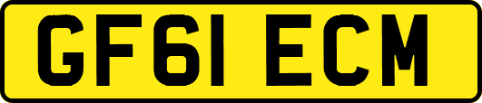 GF61ECM