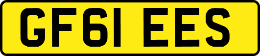 GF61EES