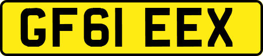 GF61EEX