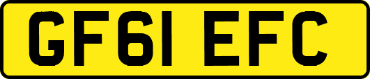 GF61EFC