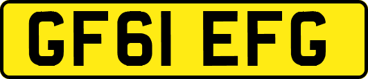 GF61EFG